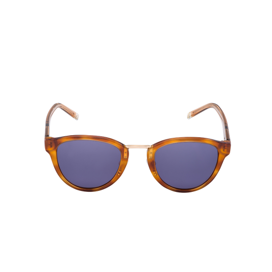 Las Vegas - Blue & Brown