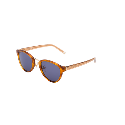 Las Vegas - Blue & Brown